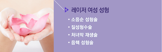레이저 여성 성형