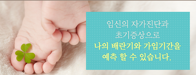 배란일 계산