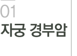 자궁 경부암