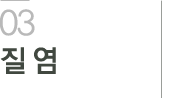 질염