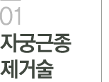 자궁근종 제거술