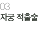 자궁 적출술